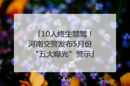 10人终生禁驾！河南交警发布5月份“五大曝光”警示