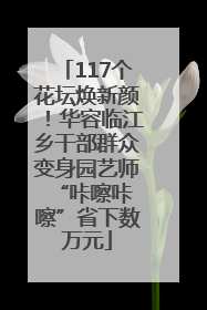 117个花坛焕新颜！华容临江乡干部群众变身园艺师 “咔嚓咔嚓”省下数万元