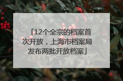 12个全宗的档案首次开放，上海市档案局发布两批开放档案