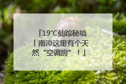 19℃仙踪秘境丨南漳这里有个天然“空调房”！