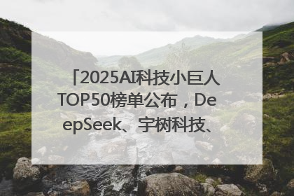 2025AI科技小巨人TOP50榜单公布，DeepSeek、宇树科技、蘑菇车联等企业荣誉上榜