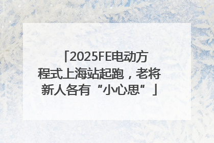 2025FE电动方程式上海站起跑，老将新人各有“小心思”