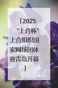 2025“上合杯”上合组织国家网球团体赛青岛开幕
