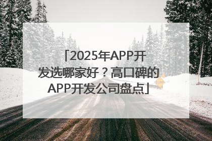 2025年APP开发选哪家好？高口碑的APP开发公司盘点