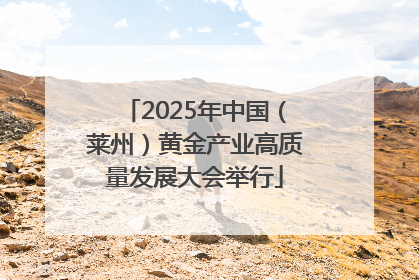 2025年中国（莱州）黄金产业高质量发展大会举行