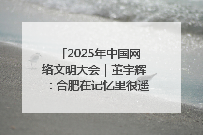 2025年中国网络文明大会｜董宇辉：合肥在记忆里很遥远也很亲切
