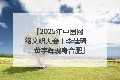 2025年中国网络文明大会丨李佳琦、董宇辉现身合肥