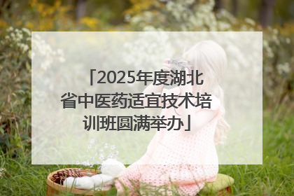2025年度湖北省中医药适宜技术培训班圆满举办