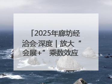 2025年廊坊经洽会·深度｜放大“会展+”乘数效应 打造消费新场景