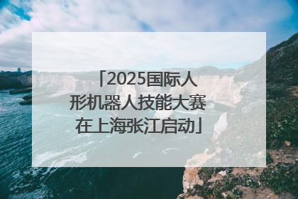 2025国际人形机器人技能大赛在上海张江启动