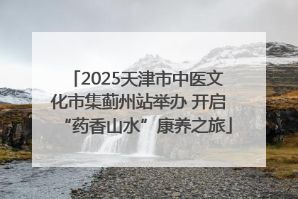 2025天津市中医文化市集蓟州站举办 开启“药香山水”康养之旅