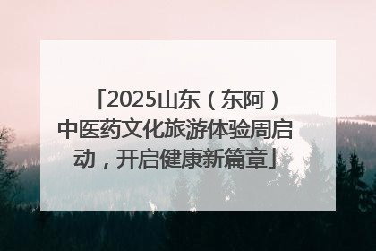 2025山东（东阿）中医药文化旅游体验周启动，开启健康新篇章