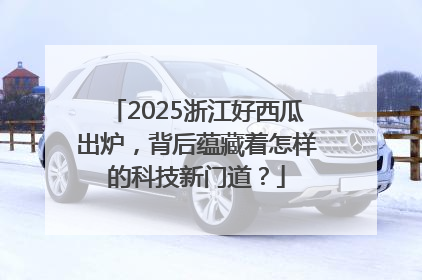 2025浙江好西瓜出炉，背后蕴藏着怎样的科技新门道？