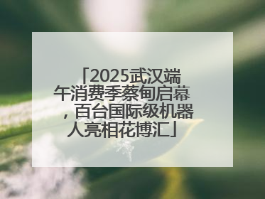 2025武汉端午消费季蔡甸启幕，百台国际级机器人亮相花博汇