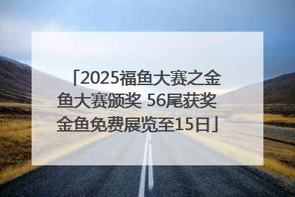 2025福鱼大赛之金鱼大赛颁奖 56尾获奖金鱼免费展览至15日