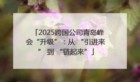 2025跨国公司青岛峰会“升级”：从 “引进来” 到 “链起来”