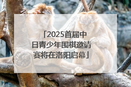 2025首届中日青少年围棋邀请赛将在洛阳启幕