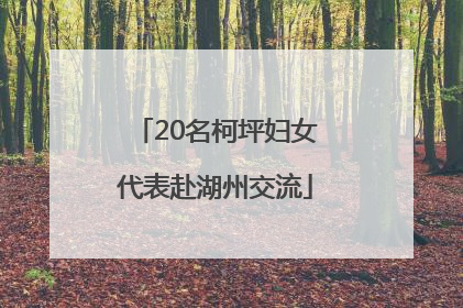 20名柯坪妇女代表赴湖州交流