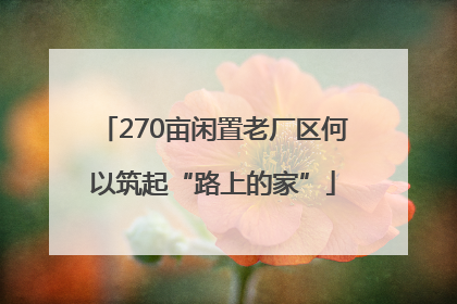 270亩闲置老厂区何以筑起“路上的家”