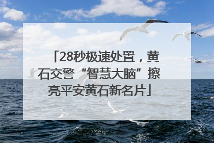 28秒极速处置，黄石交警“智慧大脑”擦亮平安黄石新名片