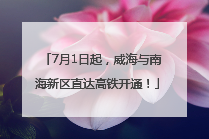 7月1日起，威海与南海新区直达高铁开通！