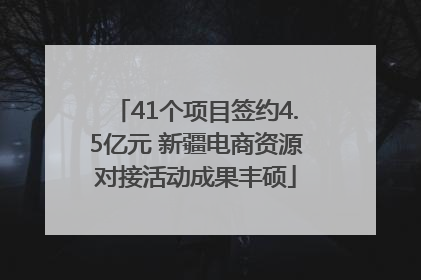 41个项目签约4.5亿元 新疆电商资源对接活动成果丰硕