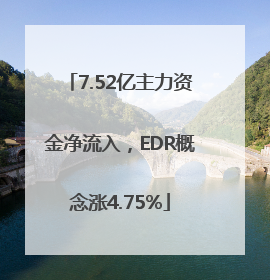 7.52亿主力资金净流入，EDR概念涨4.75%