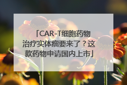 CAR-T细胞药物治疗实体瘤要来了？这款药物申请国内上市