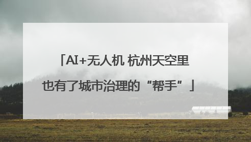 AI+无人机 杭州天空里也有了城市治理的“帮手”