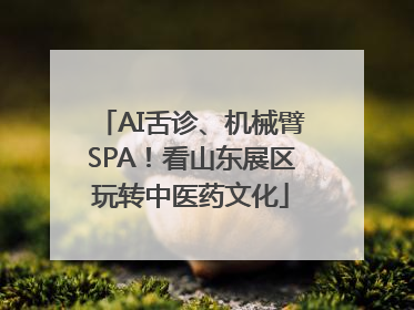 AI舌诊、机械臂SPA！看山东展区玩转中医药文化