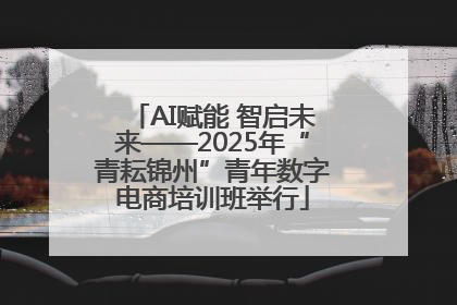AI赋能 智启未来——2025年“青耘锦州”青年数字电商培训班举行