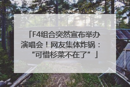 F4组合突然宣布举办演唱会！网友集体炸锅：“可惜杉菜不在了”