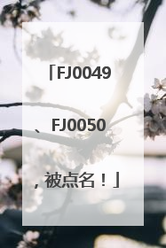 FJ0049、FJ0050，被点名！